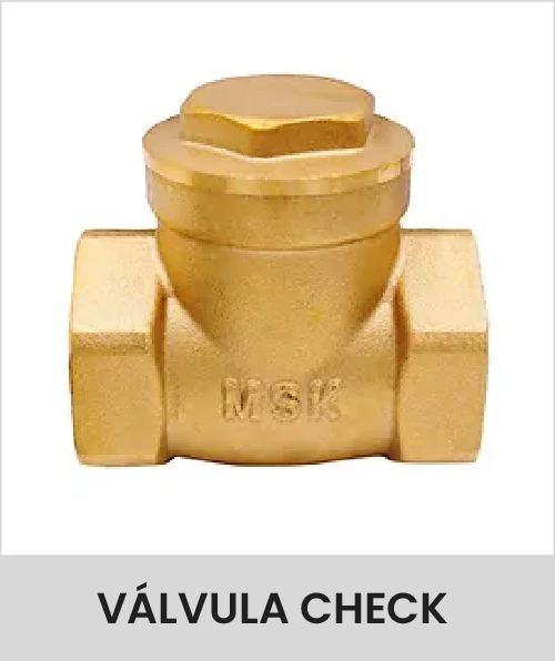 Descripción de la imagen